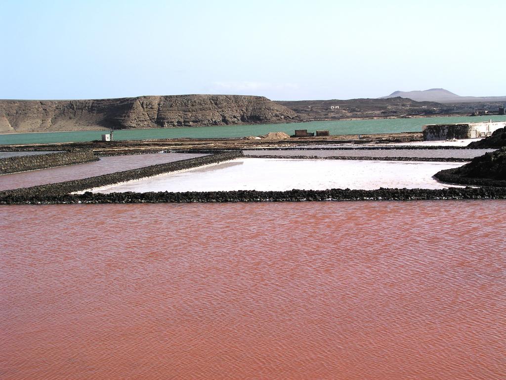 Finca El Oratorio Masdache Værelse billede